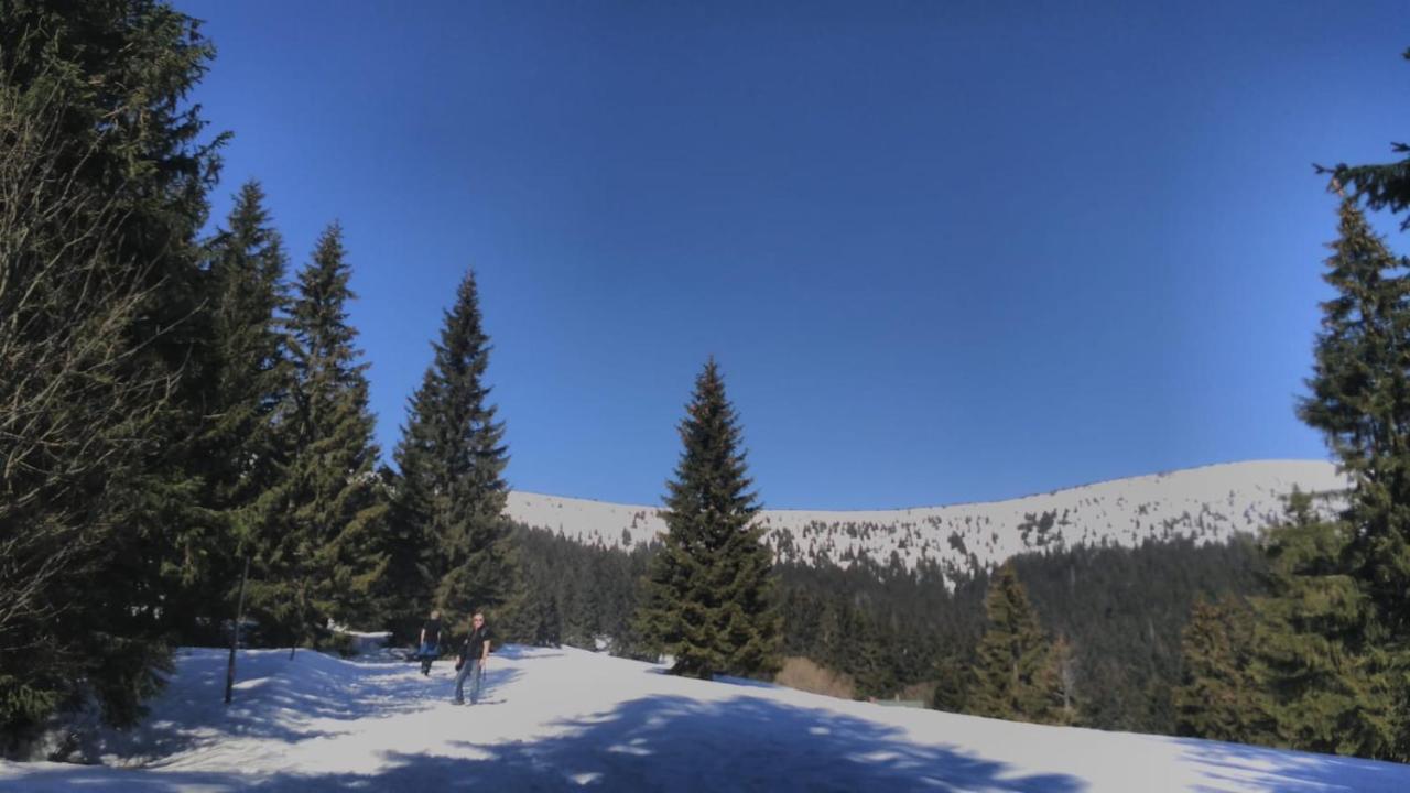 Chata Salicka Bozkov Bozkovska Exteriér fotografie