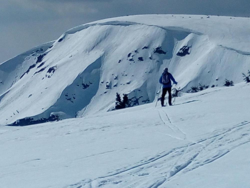 Chata Salicka Bozkov Bozkovska Exteriér fotografie