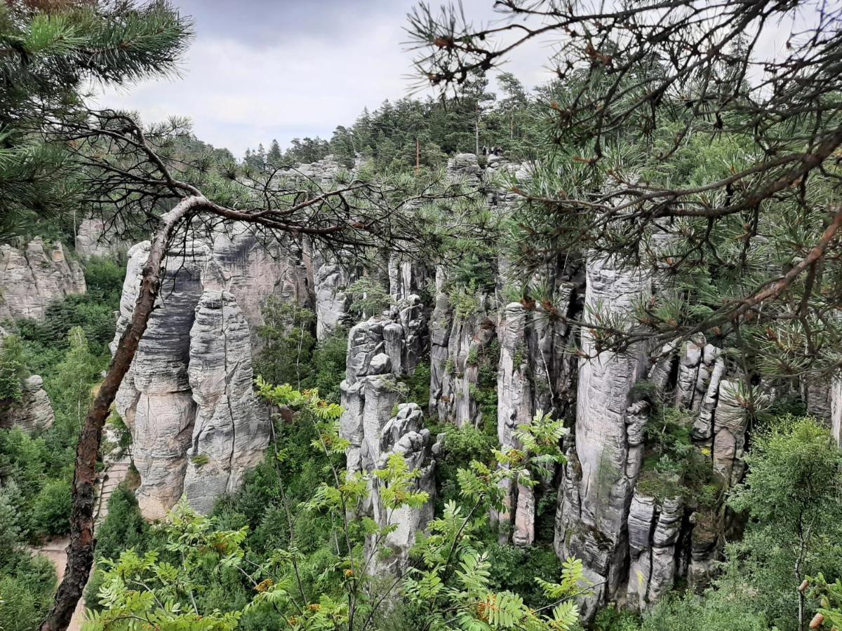 Chata Salicka Bozkov Bozkovska Exteriér fotografie